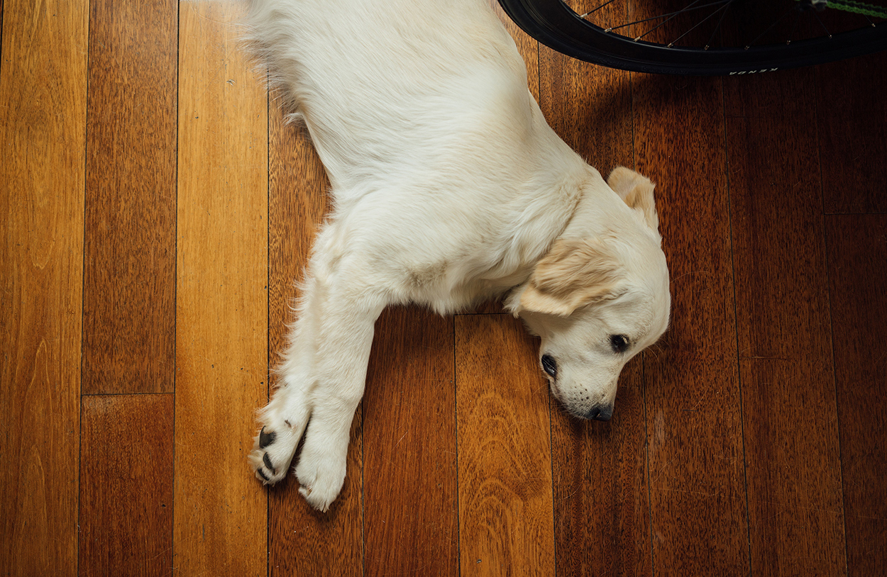 hardwood cleaning philippines