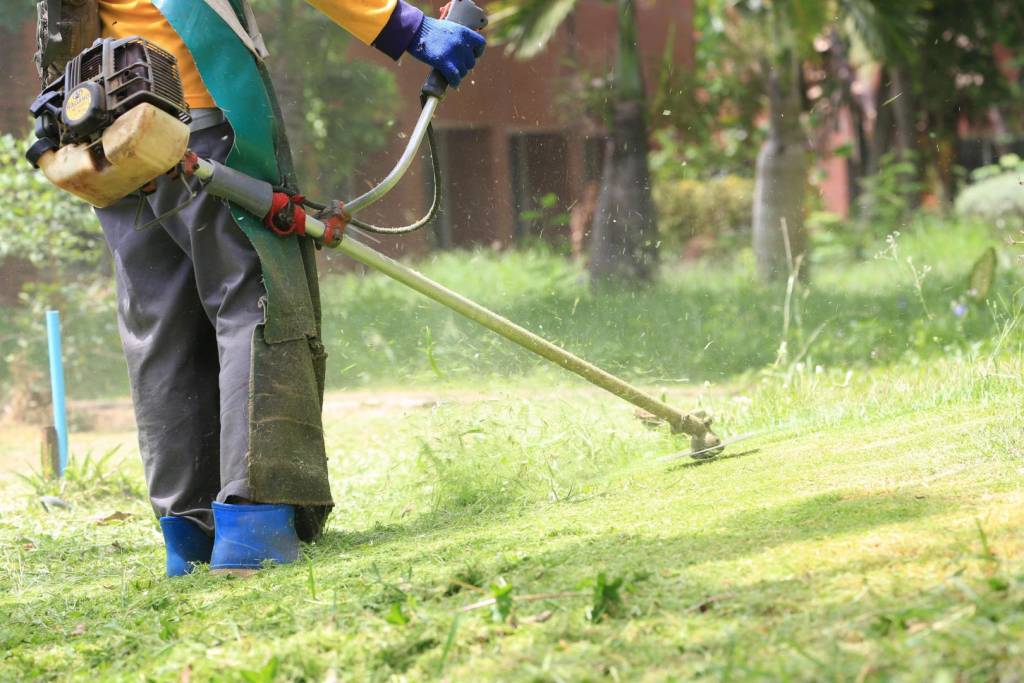 garden and lawn maintenance