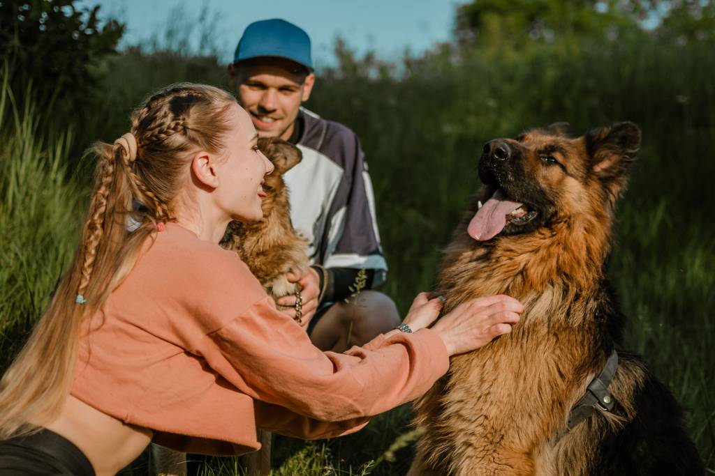 familiarize your dogs with your family members