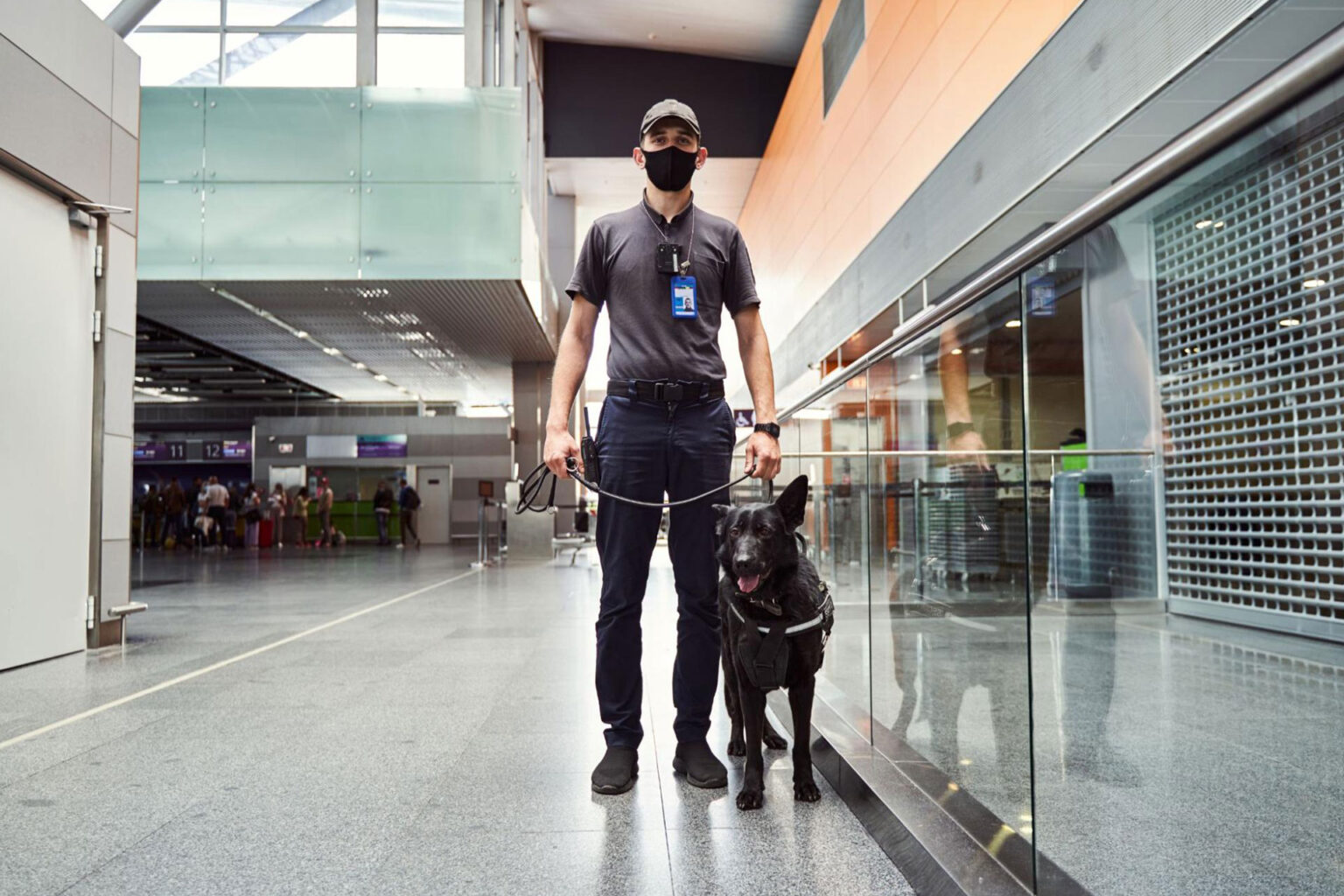Security Guard vs. Security Officer The Difference Between Their Roles